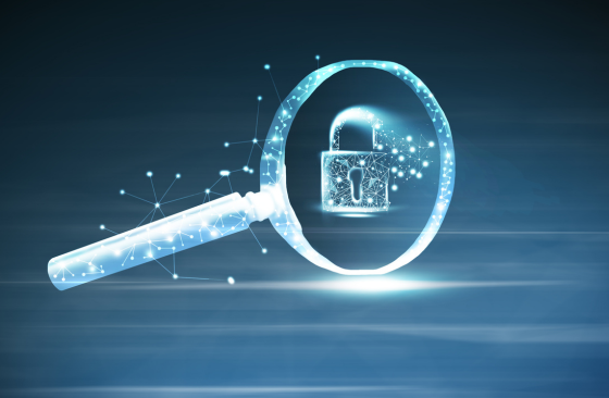 Ein Schloss unter der Lupe